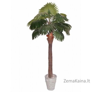 Dirbtinis augalas Palmė IV