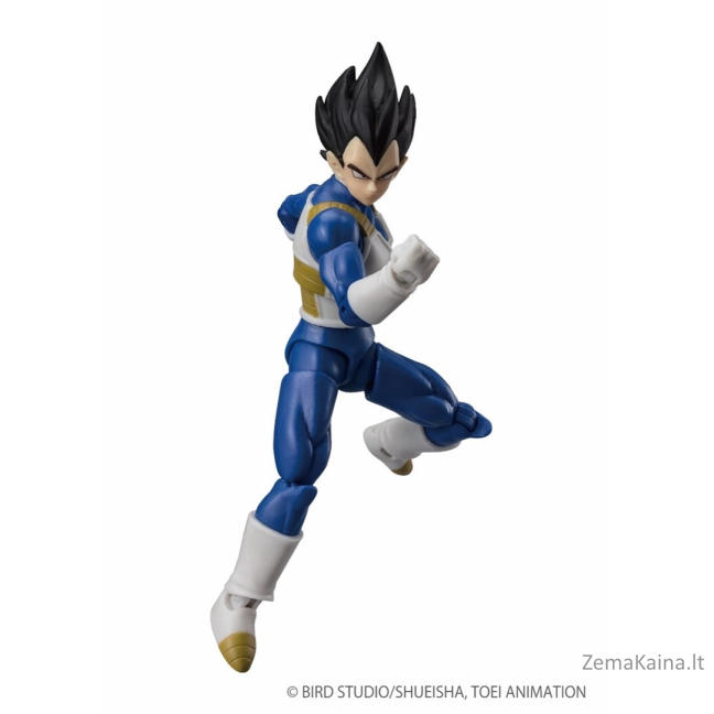 DRAGON BALL SUPER EVOLVE - VEGETA 1
