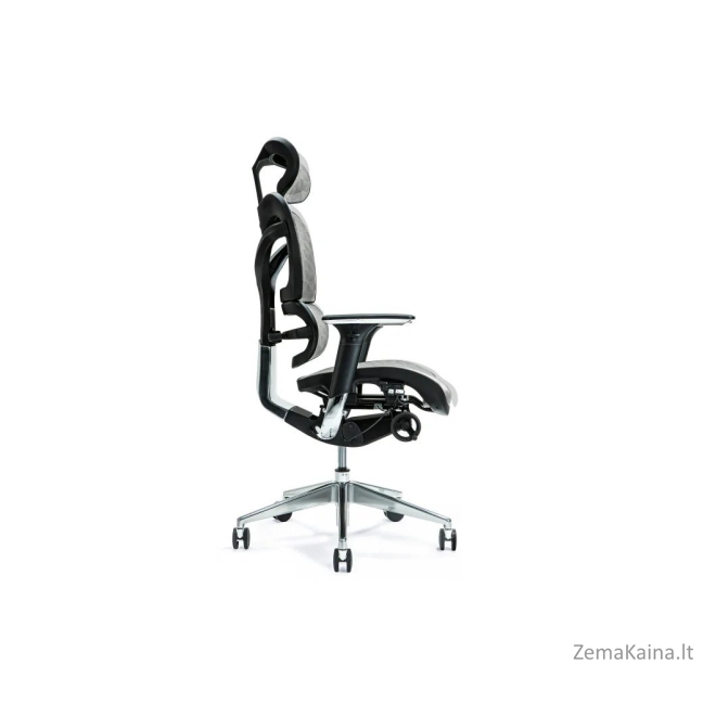 Ergonominė biuro kėdė ERGO 700 pilka 2