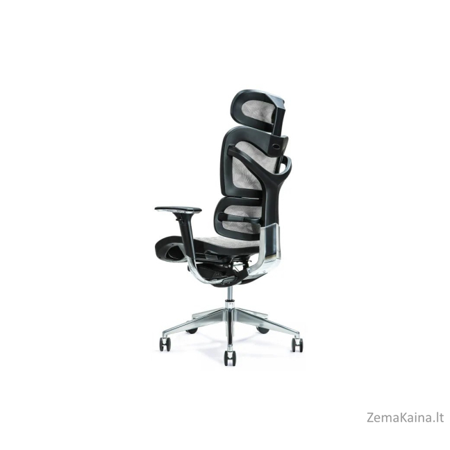 Ergonominė biuro kėdė ERGO 700 pilka