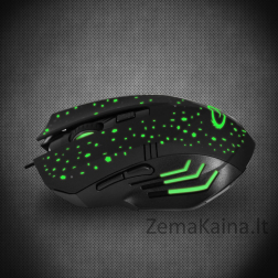Esperanza EGM212 kompiuterio pelė USB A tipo Optinis 2400 DPI Dešinės rankos