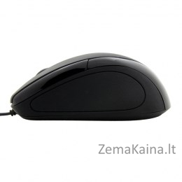 Esperanza EM102K kompiuterio pelė USB A tipo Optinis 800 DPI 2