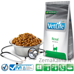Farmina Vet Life CAT Renal 400 g