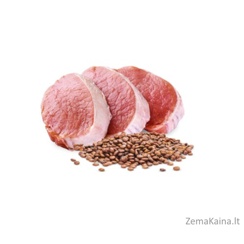 FARMINA N&D Dog Quinoa Pork Neutered - šlapias maistas šunims - 285 g 1