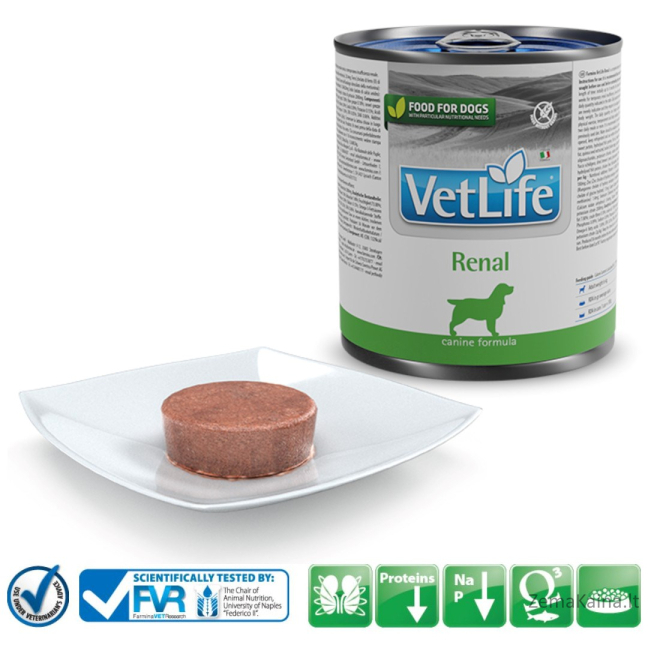 Farmina Vet Life Diet DOG Renal 300 g 1