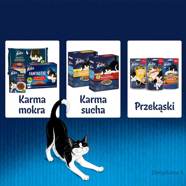 Felix Fanstastic Junior - wet cat food - 85 g 3