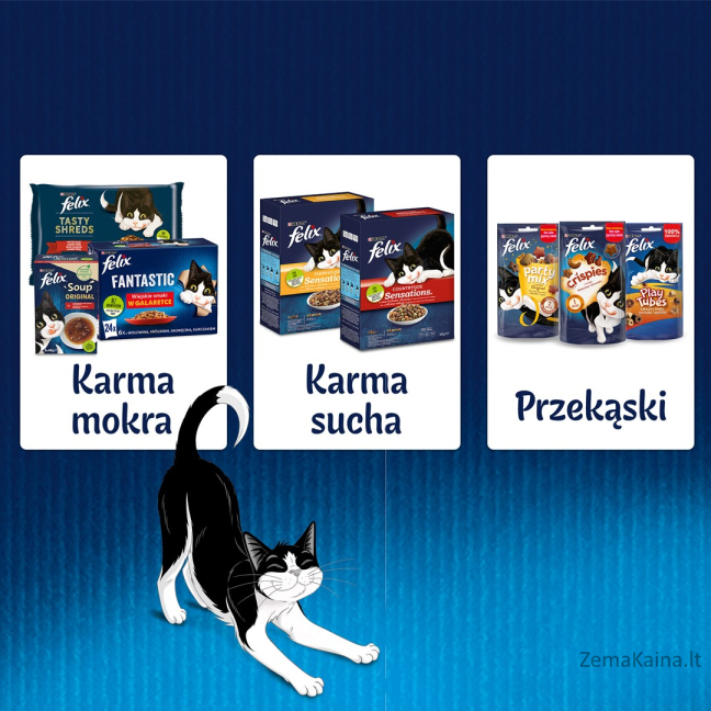 Felix Fantastic Šalies skonių želė - 24x 85g 10