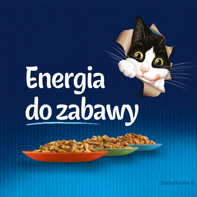 FELIX Fantastic su vištiena drebučiuose - 85g 4