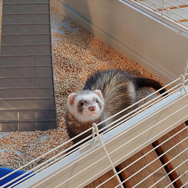 FERPLAST Furet Tower - Narvas 10
