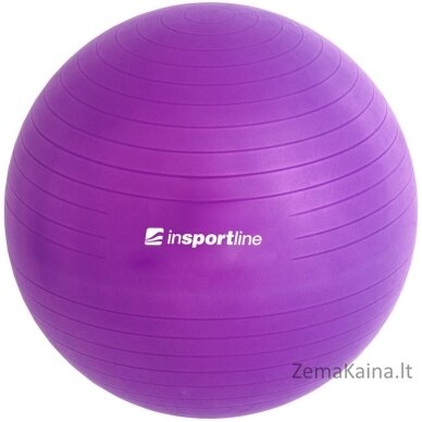 Gimnastikos kamuolys + pompa inSPORTline Top Ball 55 cm - Purple