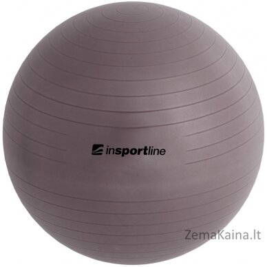 Gimnastikos kamuolys + pompa inSPORTline Top Ball 65cm - Purple 3
