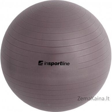 Gimnastikos kamuolys + pompa inSPORTline Top Ball 75cm - Blue 2