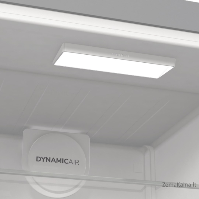 Gorenje R619EAXL6 šaldytuvas Pastatomi 398 L E Pilka 11