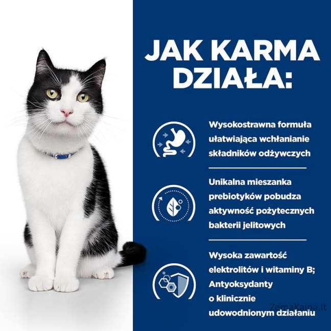 HILL'S PD I/D Digestive Care Chicken - sausas kačių maistas - 3kg 2