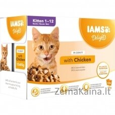 IAMS Delights Kitten Chicken in gravy - šlapias kačių maistas - 12 x 85g