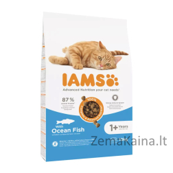 IAMS Advanced Nutrition Cat Adult Ocean Fish - sausas kačių maistas - 10 kg