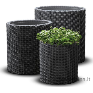 Keter Cylinder vazonų komplektas, 3 vnt, grafito