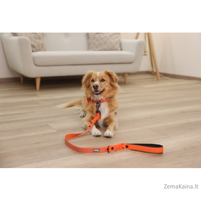 KERBL Puno Šviesą atspindintis antkaklis šuniui - oranžinis - 36-45cm 5
