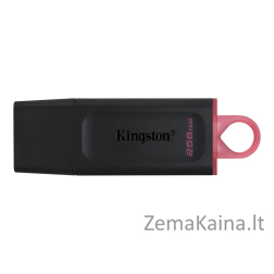 Kingston Technology DataTraveler Exodia USB atmintukas 256 GB USB A tipo 3.2 Gen 1 (3.1 Gen 1) Juoda