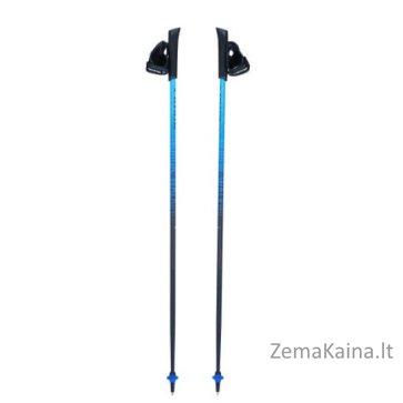 Kije Viking PRO-TRAINER blue 110
