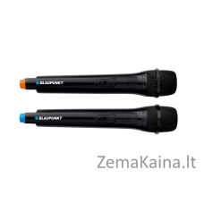 Kolonėlė BLAUPUNKT PB12DB