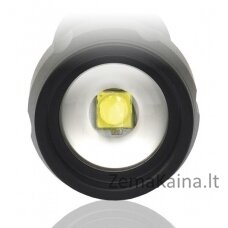 LED žibintuvėlis everActive FL-300+