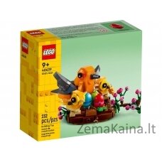 LEGO 40639 PAUKŠČIŲ LIZDAS