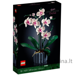 LEGO ICONS 10311 ORCHIDĖ