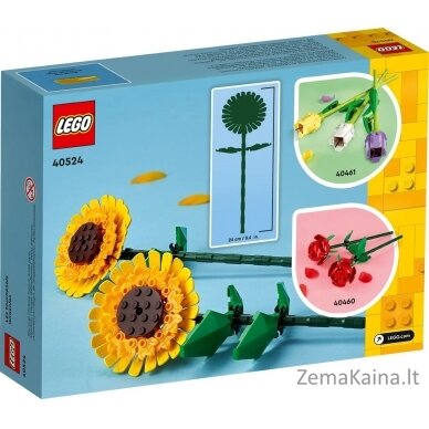 LEGO Flowers 40524 Słoneczniki 1