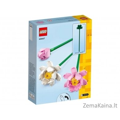 LEGO Flowers 40647 Kwiaty lotosu 1