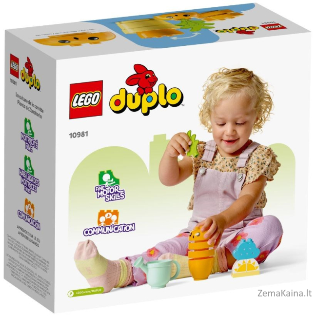 LEGO DUPLO 10981 GRŪDINĖJANČIŲ GLOBUOLIŲ AUGINIMAS 1