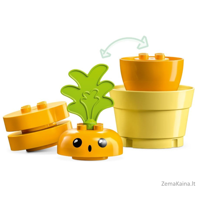 LEGO DUPLO 10981 GRŪDINĖJANČIŲ GLOBUOLIŲ AUGINIMAS 3