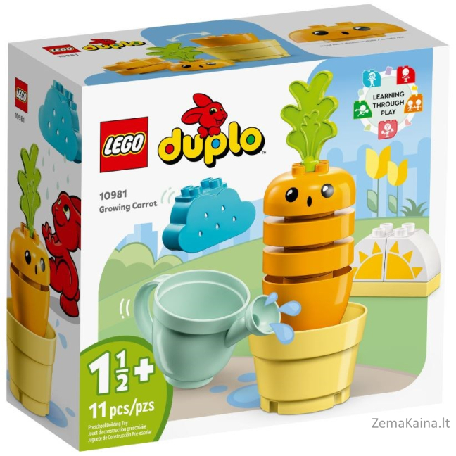 LEGO DUPLO 10981 GRŪDINĖJANČIŲ GLOBUOLIŲ AUGINIMAS