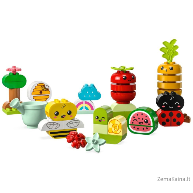LEGO DUPLO 10984 EKOLOGIŠKAS SODAS 2