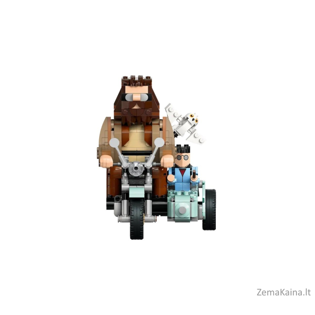 LEGO HARRY POTTER 76443 4
