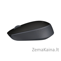 Logitech M171 kompiuterio pelė Abiems rankoms Radijo dažnio belaidė Optinis 1000 DPI