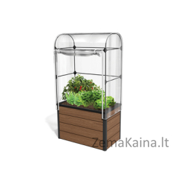 Maple green house lysvė/mini šiltnamis (rudas)