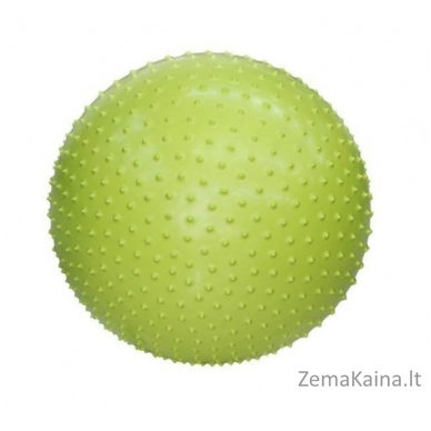 Masažinis gimnastikos kamuolys LAUBR Sport, 55 cm
