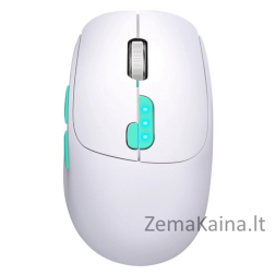 MOUSE DEFENDER NITTA MM-307 RF+BT OPTIC 1600dpi 6P WHITE
