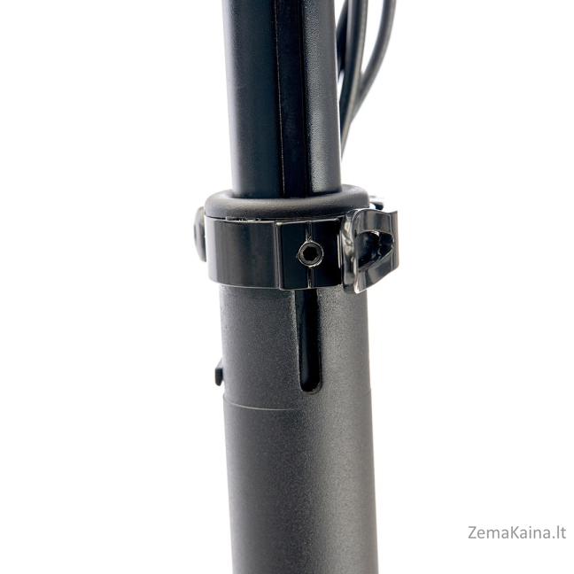 Motus elektrinis paspirtukas PRO10 2022 810 W 12