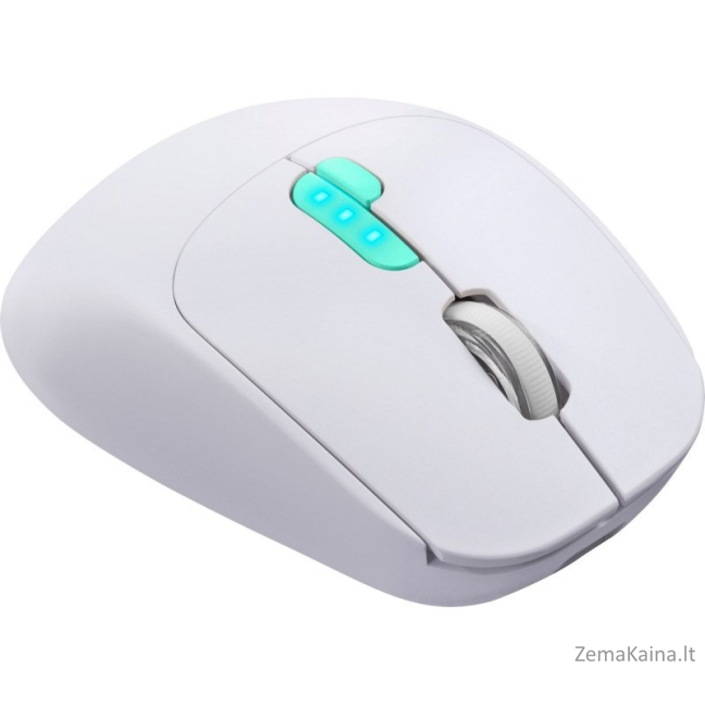 MOUSE DEFENDER NITTA MM-307 RF+BT OPTIC 1600dpi 6P WHITE 6