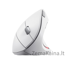 Mysz bezprzewodowa TRUST VERTO WIRELESS ERGO MOUSE WHT