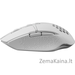 PELĖ DEFENDER GM-514 GLORY OPTIC RF RGB 3200dpi 7P BALTAS