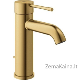 Praustuvo maišytuvas Essence New 23589GN1