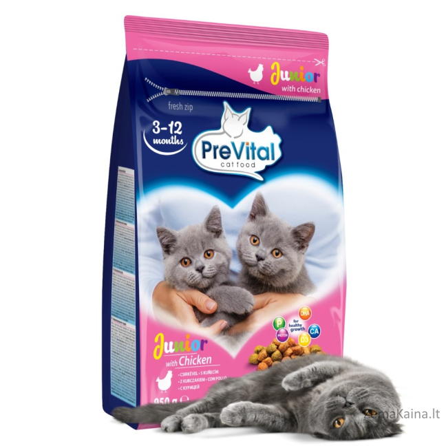 PREVITAL Junior Chicken - sausas kačių maistas - 950g 1