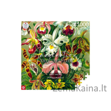 Puzzle Good Loot 1000 Imagination Ernst Haeckel Orchidea / Orchid