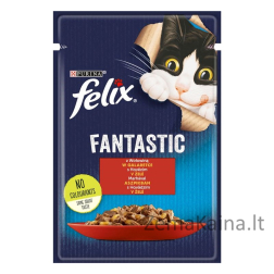 PURINA FELIX FANTASTIC Mix Wiejskie smaki 120x85g