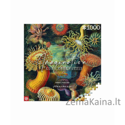Puzzle Good Loot 1000 Imagination Ernst Haeckel Stworzenia Morskie