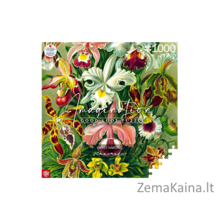 Puzzle Good Loot 1000 Imagination Ernst Haeckel Orchidea / Orchid