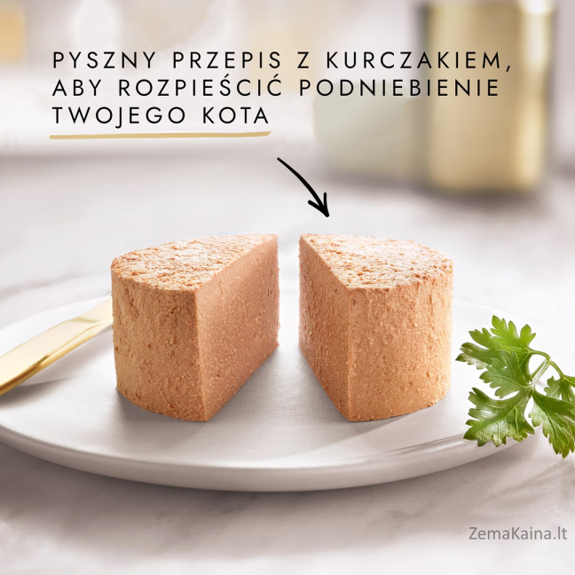 Purina Nestle Gourmet Gold - lašiša ir vištiena -85 g drėgno kačių ėdalo 2